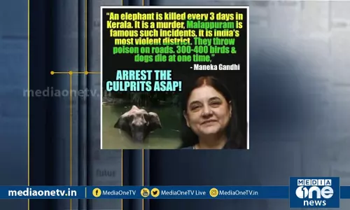 ആനക്കാര്യത്തിലെ മാധ്യമങ്ങളുടെ ഇരട്ടത്താപ്പ്