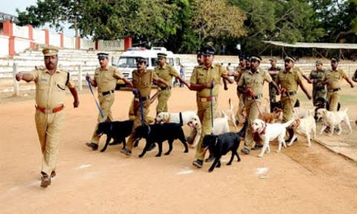 വിരമിച്ചാലും വീരനായകരാണ് കേരള പൊലീസിലെ നായകള്‍