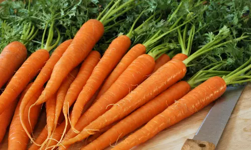 ഗ്രോബാഗില്‍ കാരറ്റ്, പിന്നെ ക്യാബേജും കോളിഫ്ലവറും; കയ്പമംഗലത്തെ സ്വര്‍ഗമാക്കിയ ഹരിതഗ്രാമം