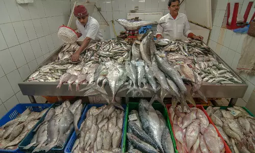 ഖത്തറില്‍ മത്സ്യങ്ങള്‍ ഉള്‍പ്പെടെയുള്ള കടല്‍ വിഭവങ്ങളുടെ വില ഇനി വാണിജ്യമന്ത്രാലയം പ്രഖ്യാപിക്കും