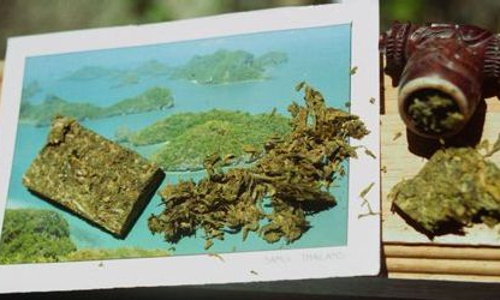 ഓരോ വീട്ടിലും ആറു കഞ്ചാവ് ചെടി വീതം, പുതിയ പദ്ധതിയുമായി തായ്ലാന്റ്