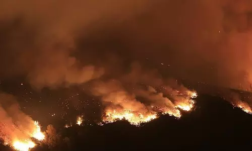 ദക്ഷിണ സുഡാനിലെ കാട്ടുതീയില്‍ 33 മരണം; മരണസംഖ്യ ഉയരാൻ സാധ്യത