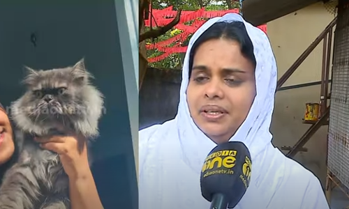 വീട്ടിലാരും ജോലിക്കു പോകുന്നില്ല, മക്കള്‍ക്ക് പഠിക്കാനാകുന്നില്ല; കാണാതായ പേര്‍ഷ്യന്‍ പൂച്ചയെ കാത്ത് ഒരു കുടുംബം