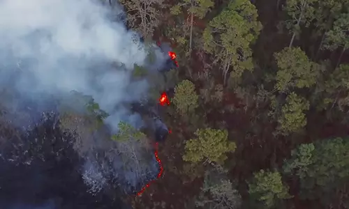 കൃഷിഭൂമിക്കായി ആമസോണ്‍ കാടുകളില്‍ തീയിടുന്നതിന് വിലക്കേര്‍പ്പെടുത്തി ബ്രസീല്‍