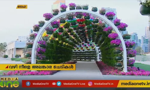 Mid East Hour | 08-05-19  