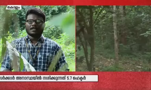‘വനദീപ്തി’; കൃത്രിമ വനം നശിക്കുന്നു ‘വനദീപ്തി’; കൃത്രിമ വനം നശിക്കുന്നു