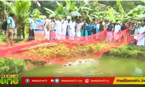 കൈ നനയാതെ മീന് പിടിക്കാം കൈ നനയാതെ മീന് പിടിക്കാം