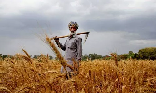 കാര്‍ഷിക മേഖലക്ക് 16.5 ലക്ഷം കോടി