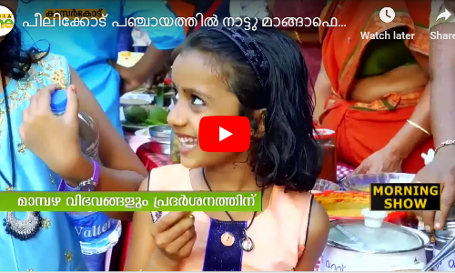 പീലിക്കോട് പഞ്ചായത്തിൽ നാട്ടു മാങ്ങാ ഫെസ്റ്റ്  