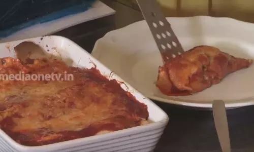 Chicken Enchiladas | Mexican Dish 