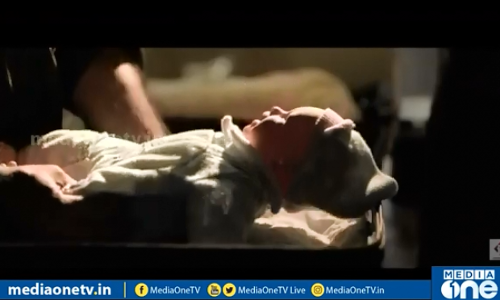 സംഗീതസാന്ദ്രം ഉൾപ്രവാസം; ഖത്തറിലെ ആരോഗ്യ പ്രവര്‍ത്തകര്‍ ഒരുക്കിയ സംഗീത ആല്‍ബം | Weekend Arabia