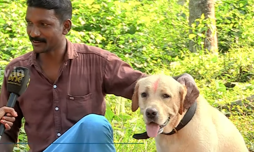 ഗോപിയുടെ ഫോണ്‍ വന്നാല്‍ ടിപ്പു അങ്ങാടിയിലേക്ക് ഒറ്റക്കുതിപ്പാണ്..പിന്നെ നീരാട്ടിനായി പുഴയിലേക്ക്; പുലിക്കയത്തിന്റെ പുലിക്കുട്ടിയാണ് ടിപ്പു എന്ന നായ