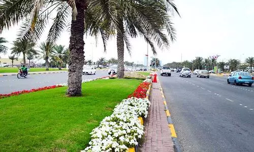 പൂത്തുലയുന്ന പാതയോരങ്ങൾ 