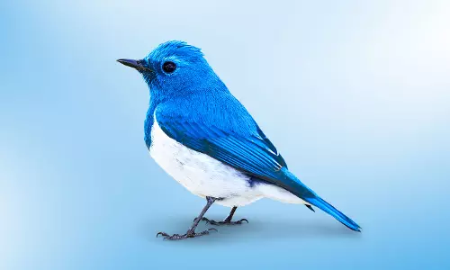 ട്വിറ്ററിന് ഇരട്ടത്താപ്പ്, ഉദ്യോഗസ്ഥരെ അറസ്റ്റ് ചെയ്യുമെന്നും കേന്ദ്രം