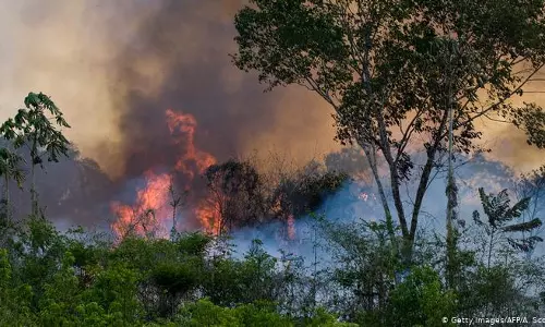 ആമസോണ്‍ മേഖലയിലെ വന നശീകരണത്തിനെതിരെ പ്രവര്‍ത്തിച്ച മുന്നൂറിലധികം പേര്‍ കൊല്ലപ്പെട്ടിട്ടുണ്ടെന്ന് റിപ്പോര്‍ട്ട്
