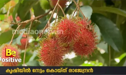 റമ്പൂട്ടാന്‍ മുതല്‍ മീന്‍ വളര്‍ത്തല്‍ വരെയുള്ള കര്‍ഷകനായ ഫോട്ടോഗ്രാഫര്‍