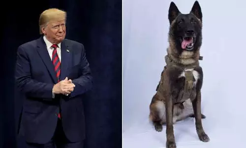 ബാഗ്ദാദിയെ വേട്ടയാടിയ നായയുടെ ചിത്രം ട്വീറ്റ് ചെയ്ത് ട്രംപ്