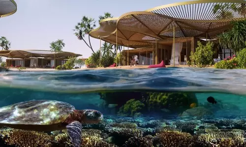 പവിഴപ്പുറ്റുകളും വർണമത്സ്യങ്ങളും നിറഞ്ഞ ഇടം; കോറല്‍ ബ്ലൂം പദ്ധതി പ്രഖ്യാപിച്ചു