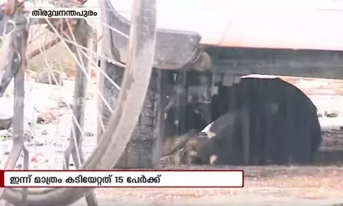 തലസ്ഥാനത്ത് ഭീതി പരത്തി തെരുവുനായ; നടപടിയെടുക്കാതെ കോര്പ്പറേഷന് തലസ്ഥാനത്ത് ഭീതി പരത്തി തെരുവുനായ; നടപടിയെടുക്കാതെ കോര്പ്പറേഷന്