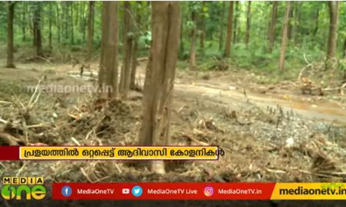 പ്രളയത്തിൽ ഒറ്റപ്പെട്ട് ആദിവാസി കോളനികൾ പ്രളയത്തിൽ ഒറ്റപ്പെട്ട് ആദിവാസി കോളനികൾ