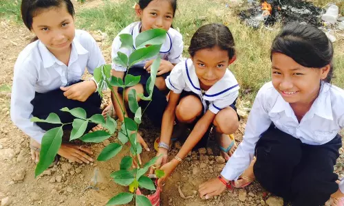 ബിരുദം വേണോ? 10 മരം നടണം