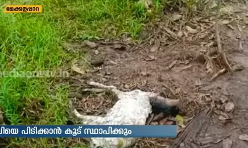പുലിയെ പേടിച്ച് ഒരു ഗ്രാമം 