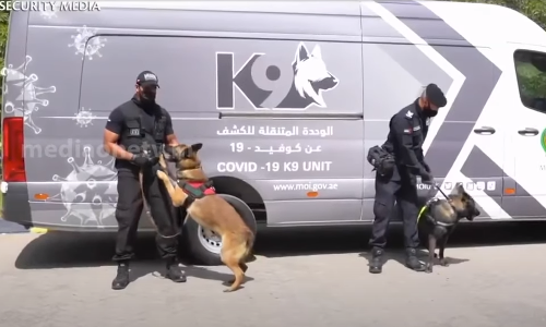 കോവിഡ് രോഗികളെ കണ്ടെത്താൻ നായകള്‍