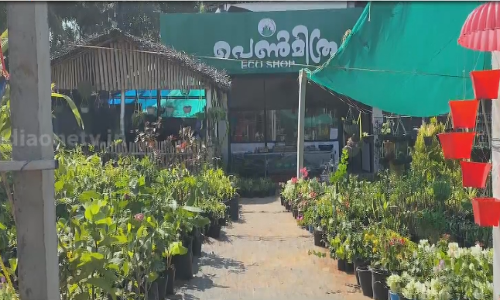 അടുക്കളത്തോട്ടത്തിൽ നിന്ന് സംരംഭത്തിലേക്ക്; ഇത് പെൺമിത്രയുടെ വിജയഗാഥ