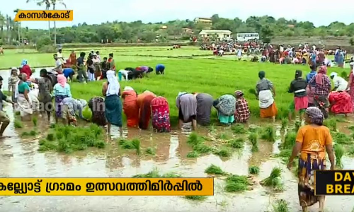 പെരുങ്കളിയാട്ട ഉത്സവത്തെ വരവേല്‍ക്കുകയാണ് കാസര്‍കോട് കല്യോട്ട് നിവാസികള്‍  