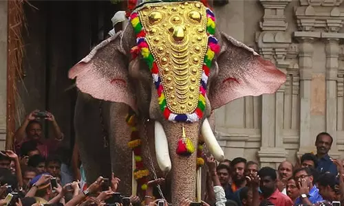 തൃശൂർ പൂര വിളംബരത്തിന് തെച്ചിക്കോട്ട് കാവ് രാമചന്ദ്രനില്ല; എറണാകുളം ശിവകുമാര്‍ തെക്കേ ഗോപുര നട തുറക്കും