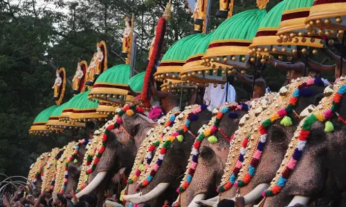 ആനകളുടെ എണ്ണം കുറയ്ക്കില്ല; തൃശൂർ പൂരം പതിവ് പോലെ നടത്തും