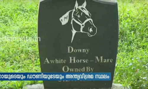 മനുഷ്യനും മൃഗവും തമ്മിലുള്ള അപൂര്‍വ്വ സൌഹൃദത്തിന്റെ കഥ പറയുന്ന സെമിത്തേരി; മണ്‍റോയുടെയും ഡൌണിയുടെയും അന്ത്യവിശ്രമ സ്ഥലം