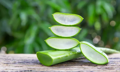 ഒരു കഷ്ണം കറ്റാര്‍വാഴ മതി മുഖം തിളങ്ങാന്‍