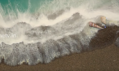 വ്യത്യസ്തമായ കാഴ്ചാനുഭവം സമ്മാനിച്ച് ഐശ്വര്യയുടെ ചിത്രപ്രദര്‍ശനം