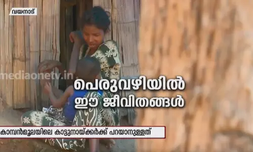 കാട്ടുനായ്ക്കർക്ക് പറയാനുള്ളത് കാട്ടുനായ്ക്കർക്ക് പറയാനുള്ളത്