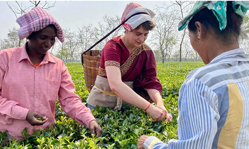 അസമില്‍ തോട്ടം തൊഴിലാളികള്‍ക്കൊപ്പം തേയില നുള്ളി പ്രിയങ്ക ഗാന്ധി