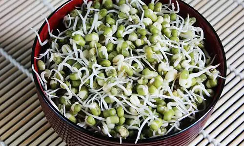 മുളപ്പിച്ച ചെറുപയര്‍ ശീലമാക്കൂ രോഗപ്രതിരോധ ശേഷി വര്‍ദ്ധിക്കും