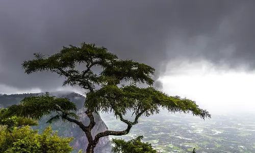 വിനോദസഞ്ചാര മേഖലയായ നെല്ലിയാമ്പതിയിലേക്ക് ബസ് സര്‍വീസുകള്‍ കുറവ്