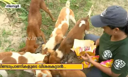 പ്രളയ ദുരിതത്തിൽ മിണ്ടാപ്രാണികളുടെ വിശപ്പകറ്റാൻ പ്രളയ ദുരിതത്തിൽ മിണ്ടാപ്രാണികളുടെ വിശപ്പകറ്റാൻ