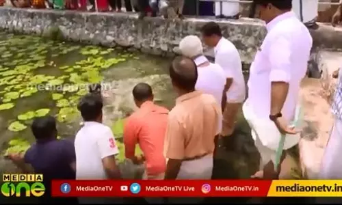 സ്ഥിരമായി തോല്ക്കുന്ന ചിലരുണ്ട് സ്ഥിരമായി തോല്ക്കുന്ന ചിലരുണ്ട്