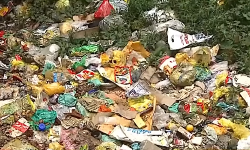 മാലിന്യക്കുഴിയായി കൊപ്പാറക്കടവ്-തൃക്കുന്നപ്പുഴ തോട്