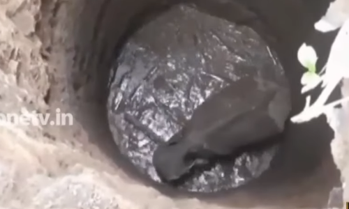 അതിരപ്പിള്ളിയില്‍ കിണറ്റില്‍ വീണ ആനയെ രക്ഷപ്പെടുത്തി