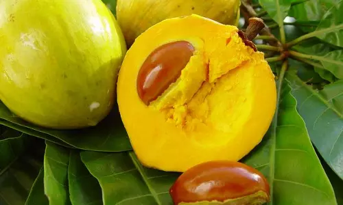 മുട്ടയെക്കാള്‍ പോഷകഗുണമുള്ള മുട്ടപ്പഴം; പ്രമേഹ രോഗികള്‍ക്കും കഴിക്കാം