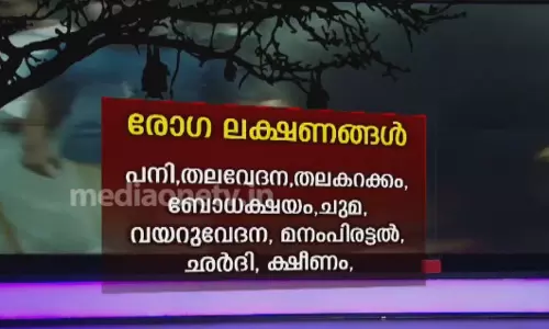 നിപ: ലക്ഷണങ്ങള്‍, മുന്‍കരുതലുകള്‍