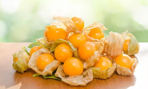 ആപ്പിളും മുന്തിരിയും മാറിനില്‍ക്കും ഗോള്‍ഡന്‍ ബെറിയുടെ ഗുണങ്ങള്‍ക്ക് മുന്നില്‍