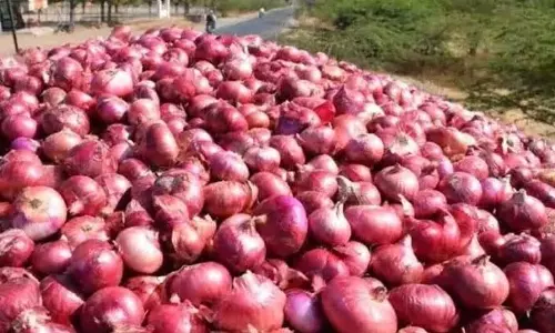 ഒരു കിലോ സവാളക്ക് 90 രൂപ; കട കോഴിക്കോട് നഗരത്തില്‍