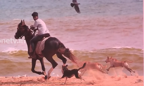 ഇതാണ് കഴിഞ്ഞ രണ്ട് വര്‍ഷത്തെ കേരളം; ചരിത്രത്തെ ചിത്രങ്ങളാക്കി’അടയാളങ്ങള്‍’