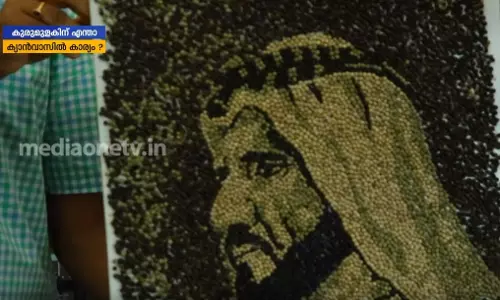 കുരുമുളകിന് ക്യാന്‍വാസില്‍ എന്ത് കാര്യം എന്ന് ചോദിക്കുന്നവര്‍ കാണുക