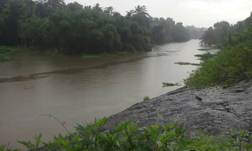 വരട്ടാർ നദിയുടെ രണ്ടാംഘട്ട പുനരുജ്ജീവന പരിപാടികൾ ഉടൻ ആരംഭിക്കും