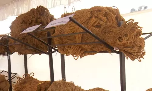 വ്യത്യസ്ത ഇനം കയറുകളുമായി കയർ കേരള എക്സ്പോ